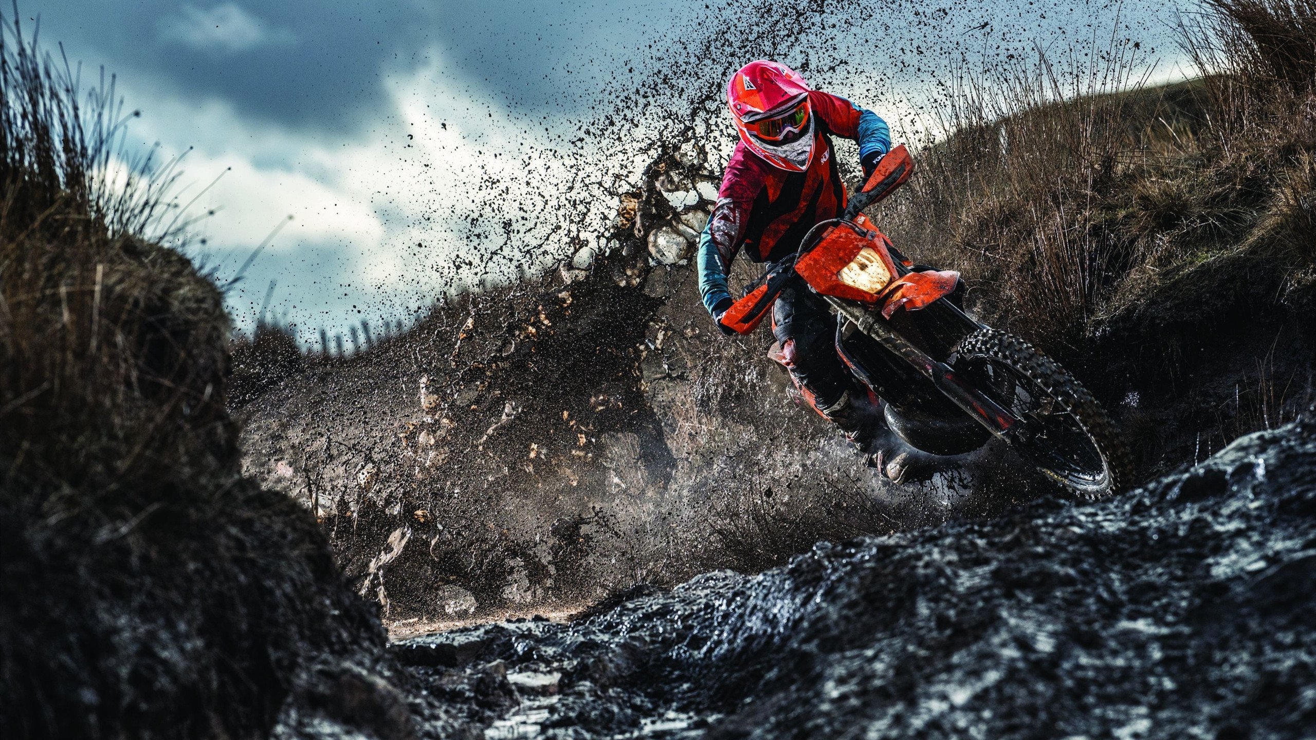 瑞典队在2024年混合团体世界杯中的坚持与突破,瑞典世界杯赛程