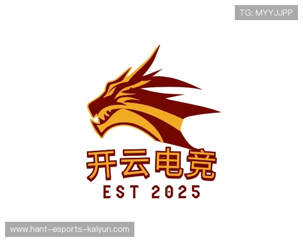 关于开云电竞官网